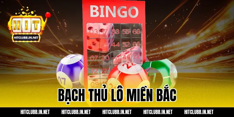 bạch thủ lô miền bắc