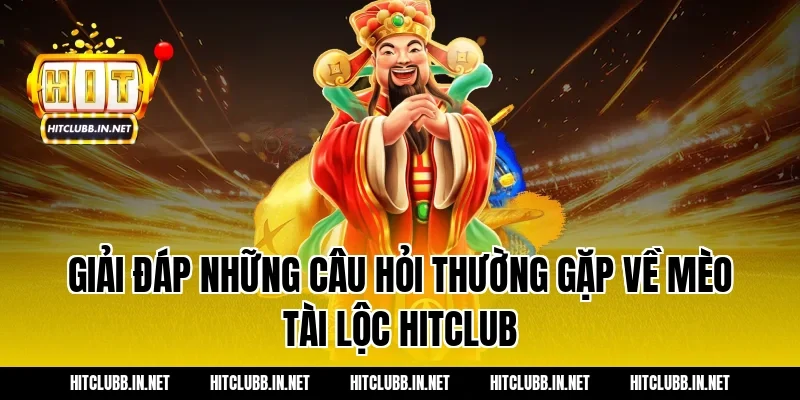 Giải Đáp Những Câu Hỏi Thường Gặp Về Mèo Tài Lộc Hitclub