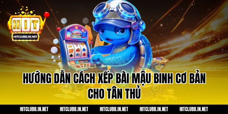 Hướng dẫn cách xếp bài mậu binh cơ bản cho tân thủ